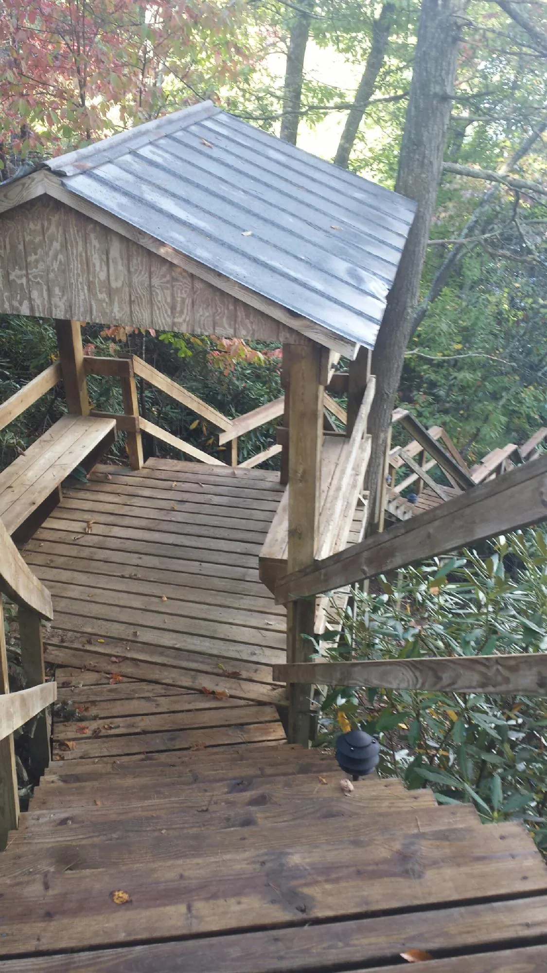 Metal roofed shelter over wooden steps on a wooded walkway — Skylight Repair & Installation work by our crew in Roans Prairie